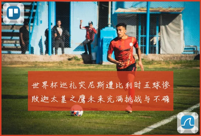 世界杯巡礼突尼斯遭比利时五球惨败迦太基之鹰未来充满挑战与不确定性